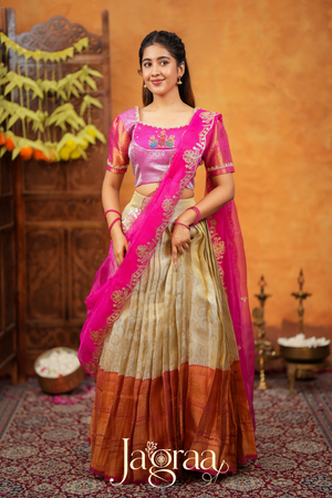 Dhanyaprada Elephant Tissue Silk Pink Lehenga Set