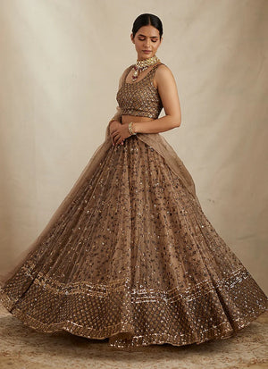 Brown Soft Net Sequence Zari Embroidery Lehenga Choli for Women Designer Wedding Wear by Jagraa