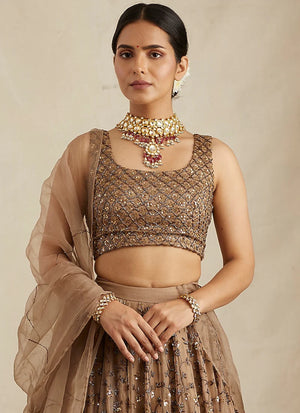Brown Soft Net Sequence Zari Embroidery Lehenga Choli for Women Designer Wedding Wear by Jagraa