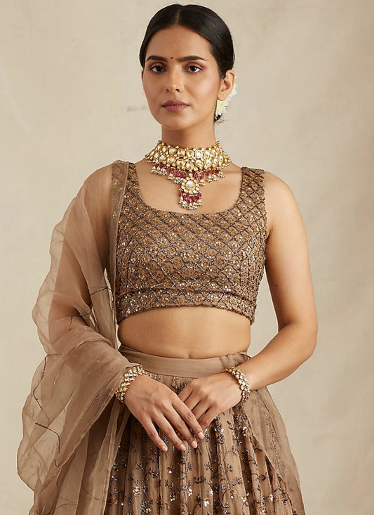 Brown Soft Net Sequence Zari Embroidery Lehenga Choli for Women Designer Wedding Wear by Jagraa
