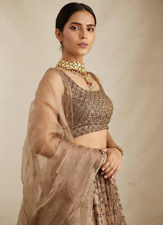 Brown Soft Net Sequence Zari Embroidery Lehenga Choli for Women Designer Wedding Wear by Jagraa