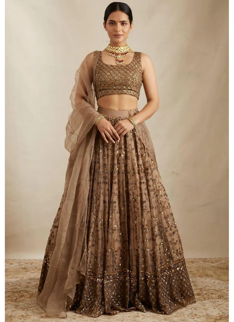 Brown Soft Net Sequence Zari Embroidery Lehenga Choli for Women Designer Wedding Wear by Jagraa