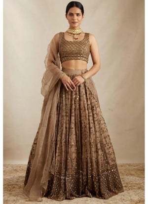 Brown Soft Net Sequence Zari Embroidery Lehenga Choli for Women Designer Wedding Wear by Jagraa