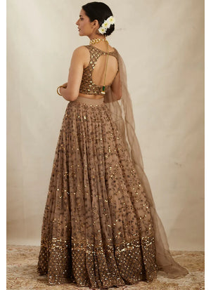 Brown Soft Net Sequence Zari Embroidery Lehenga Choli for Women Designer Wedding Wear by Jagraa